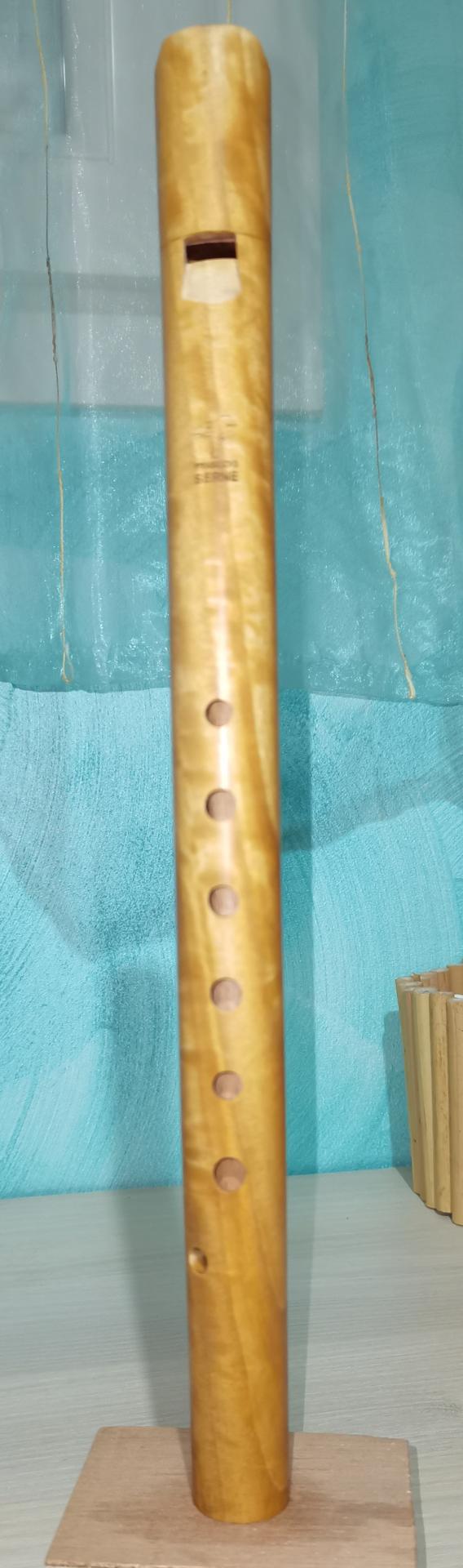MS20, Médiévale soprano en citronnier de Ceylan