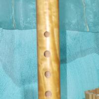 MS20, Médiévale soprano en citronnier de Ceylan